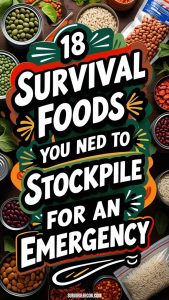 18 Survival Foods You Need to Stockpile for an Emergency